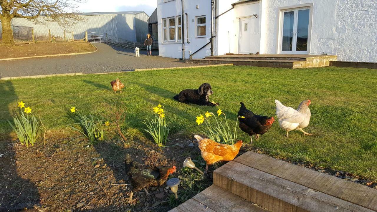 Tarbolton Crofthead Farm House المظهر الخارجي الصورة