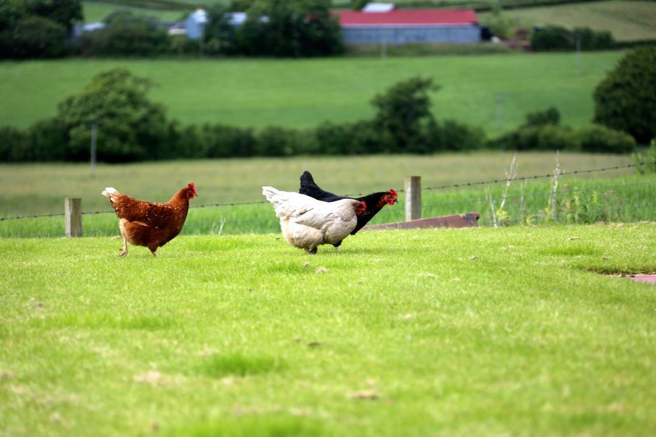Tarbolton Crofthead Farm House المظهر الخارجي الصورة