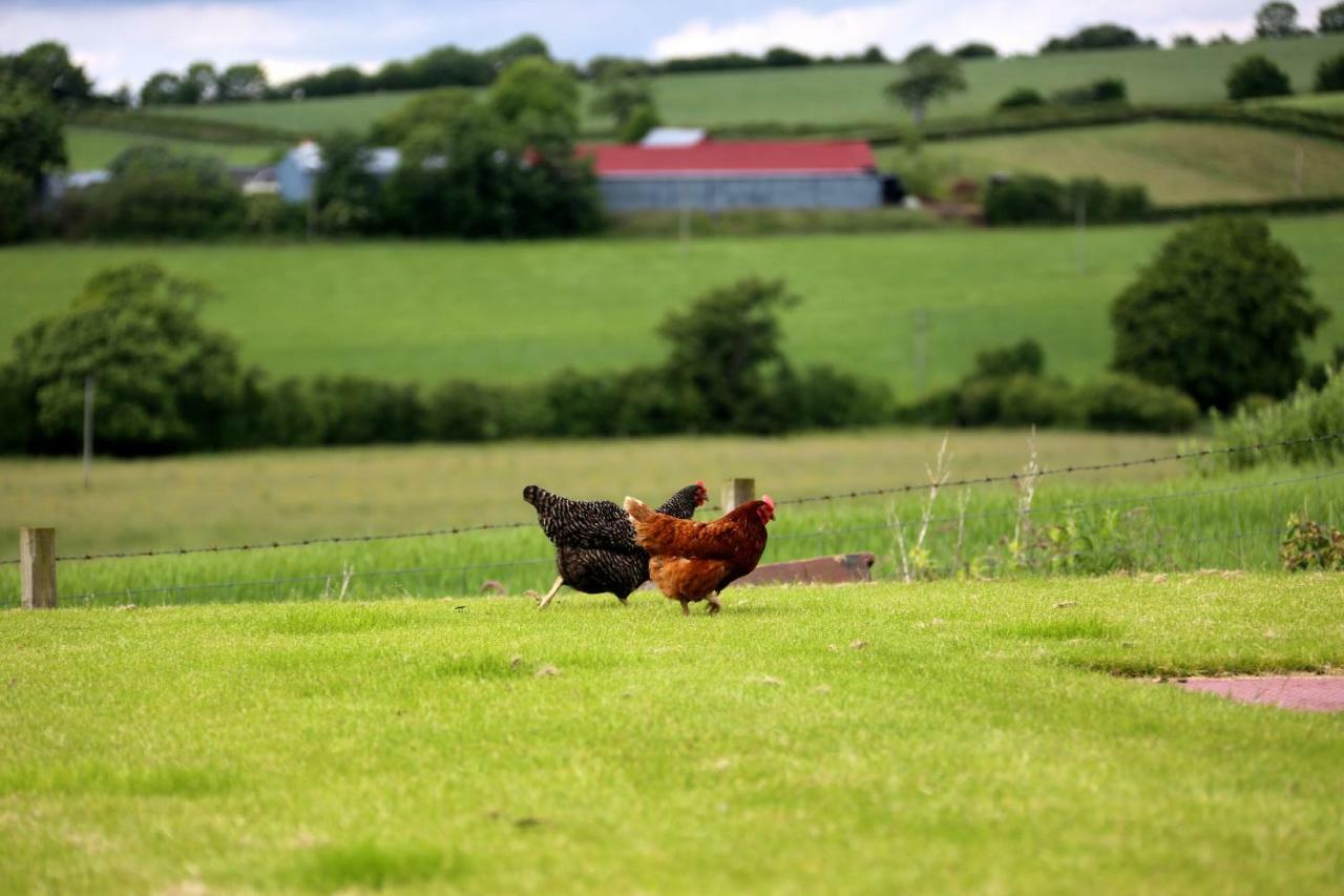 Tarbolton Crofthead Farm House المظهر الخارجي الصورة